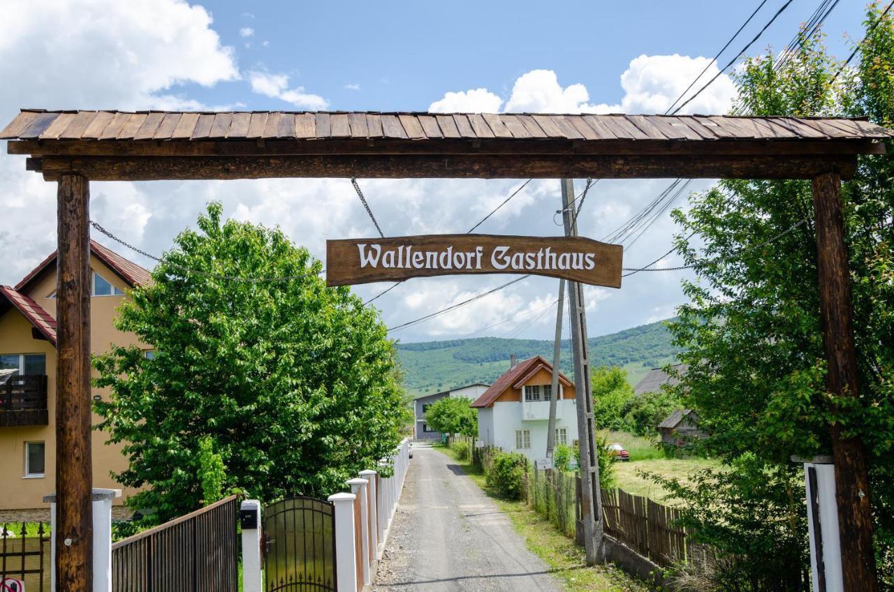 Casa De Oaspeti Wallendorf Bistrita Unirea Екстериор снимка