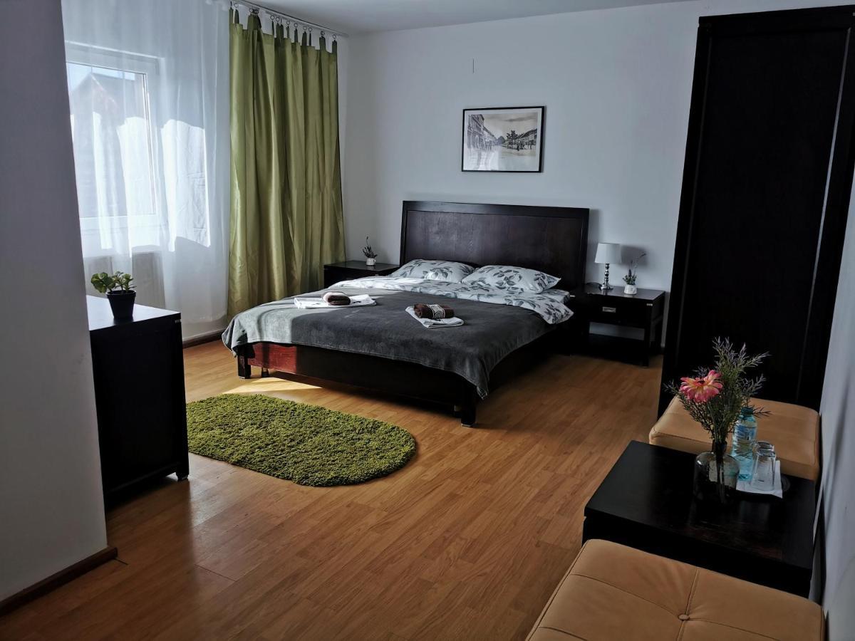 Casa De Oaspeti Wallendorf Bistrita Unirea Екстериор снимка