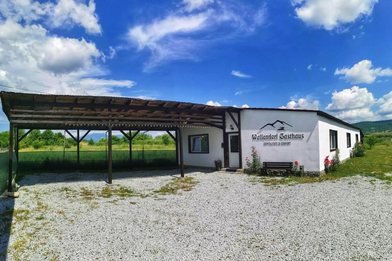 Casa De Oaspeti Wallendorf Bistrita Unirea Екстериор снимка