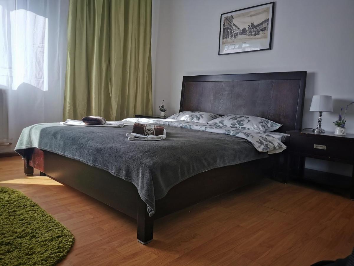 Casa De Oaspeti Wallendorf Bistrita Unirea Екстериор снимка