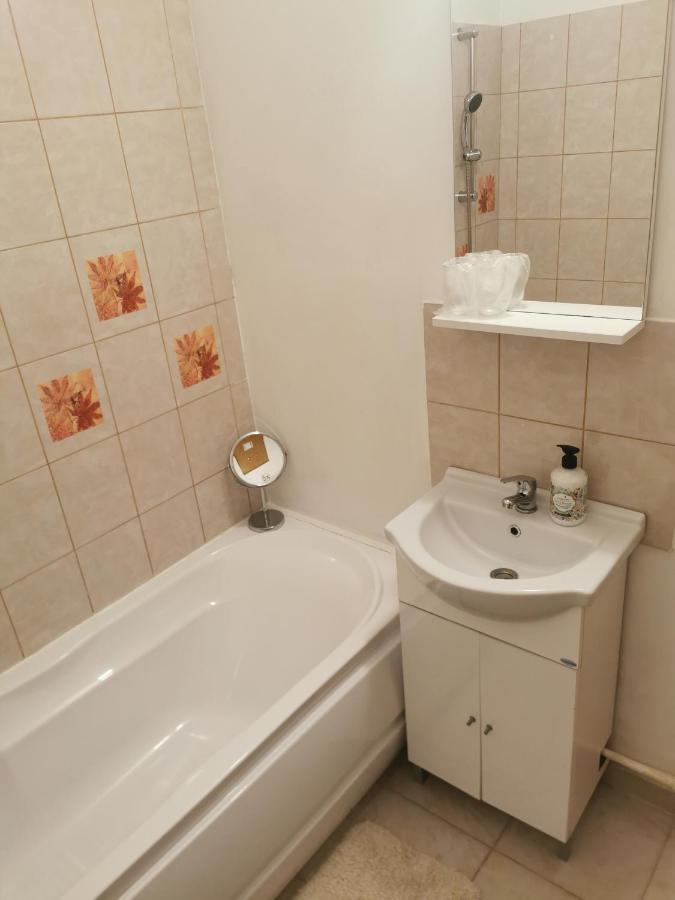 Casa De Oaspeti Wallendorf Bistrita Unirea Екстериор снимка
