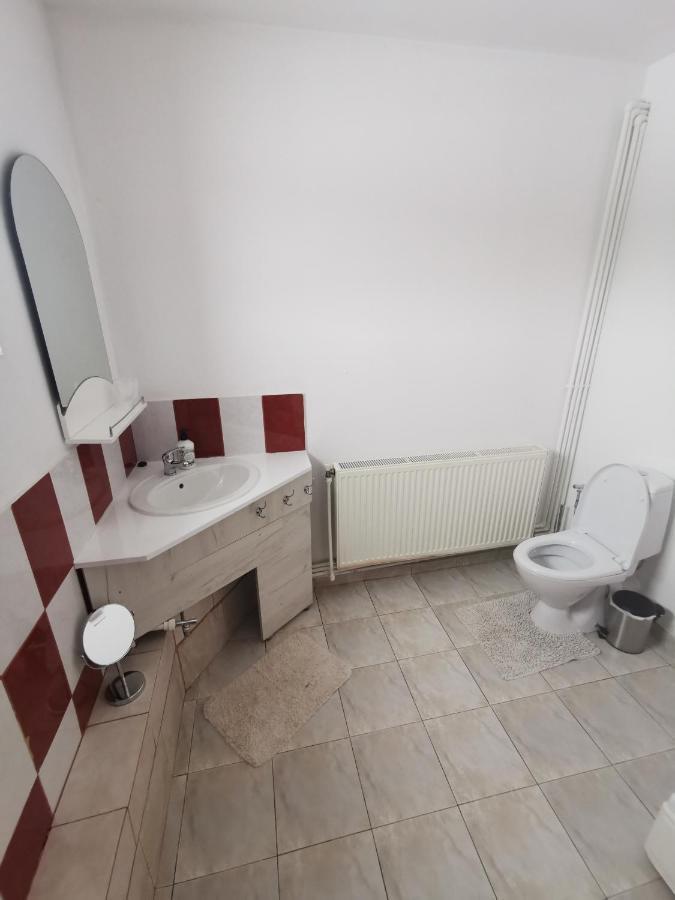 Casa De Oaspeti Wallendorf Bistrita Unirea Екстериор снимка