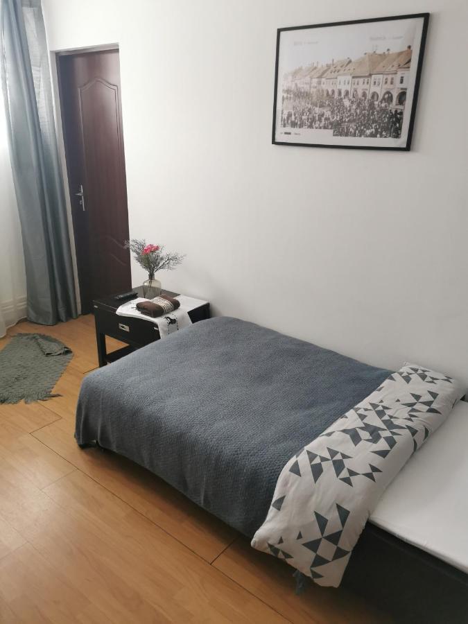 Casa De Oaspeti Wallendorf Bistrita Unirea Екстериор снимка