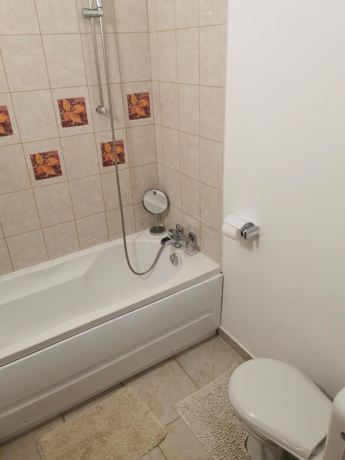 Casa De Oaspeti Wallendorf Bistrita Unirea Екстериор снимка