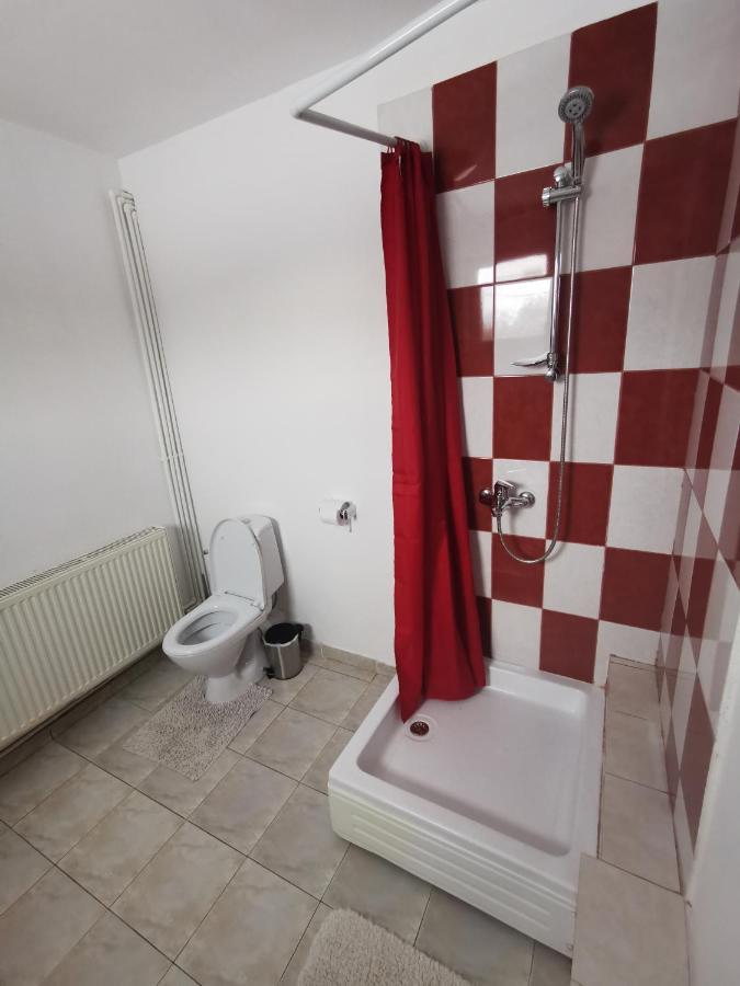Casa De Oaspeti Wallendorf Bistrita Unirea Екстериор снимка