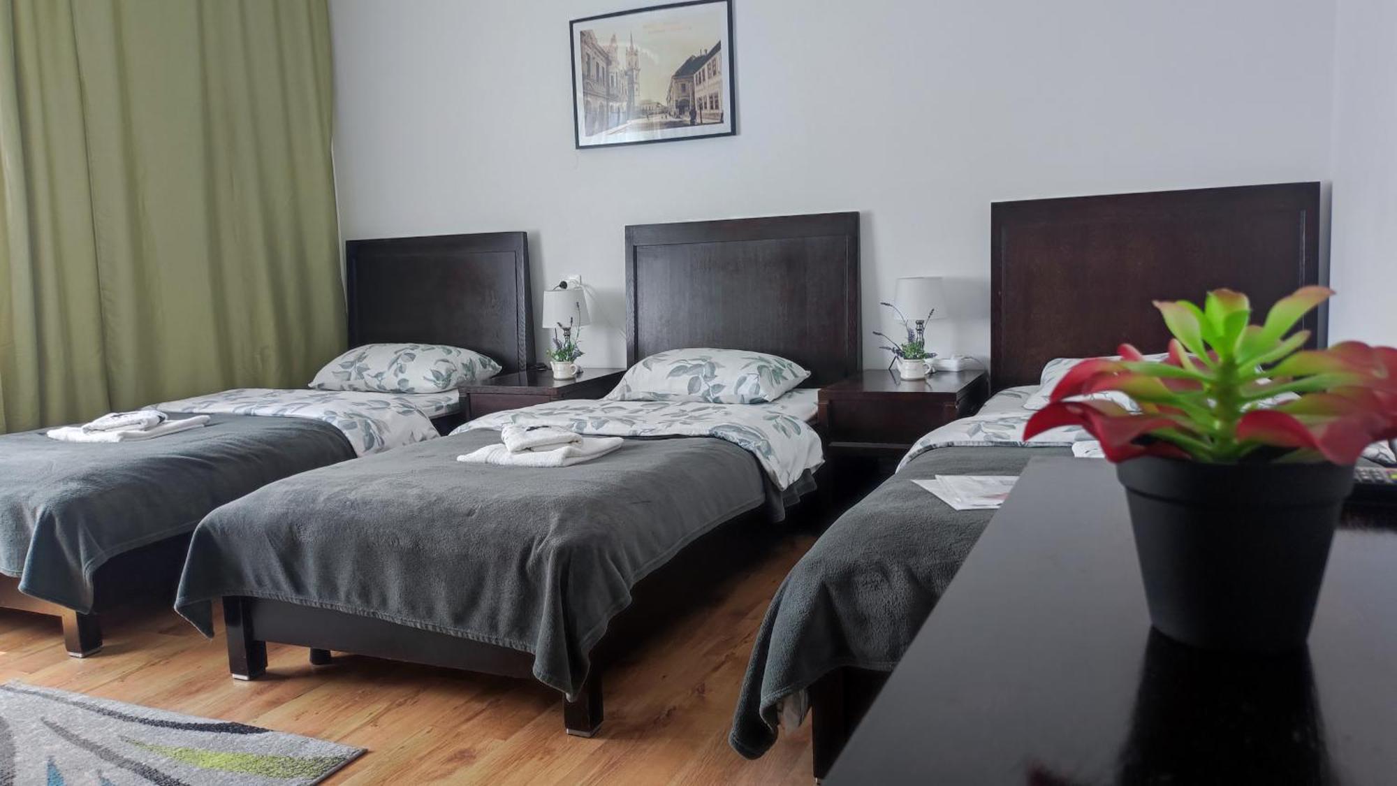 Casa De Oaspeti Wallendorf Bistrita Unirea Стая снимка
